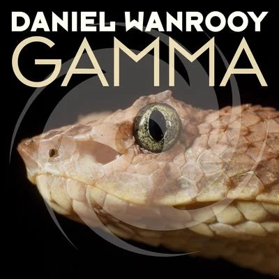 Daniel Wanrooy Gamma