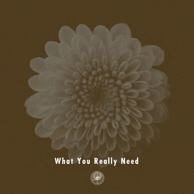 What You Really Need (feat. Miraa May) 專輯 AMPM