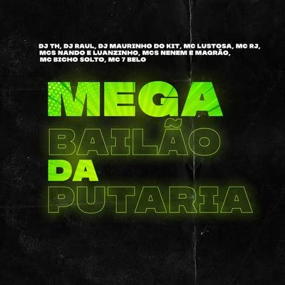 Mega Bailão da Putaria 专辑 Lander B/Oscar Escapa/DJ Raul/Smò/DurtysoxXx