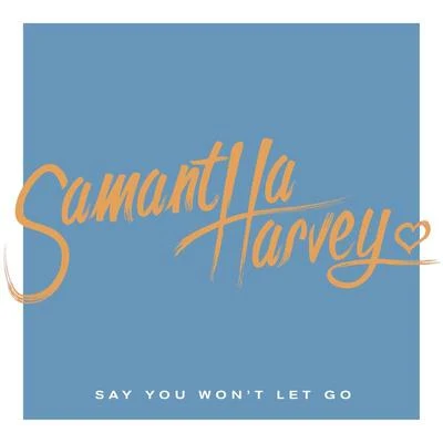 Say You Won&#x27;t Let Go 专辑 Samantha Harvey