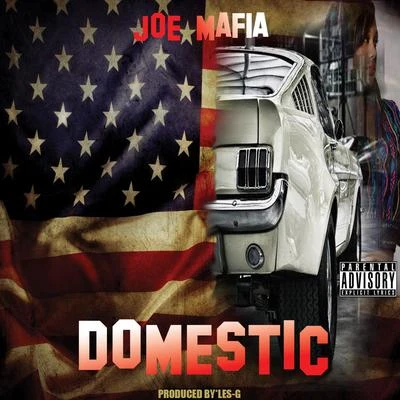 Domestic 专辑 Jesse Taylor/Shaka Amazulu The 7th/Wu-Syndicate/Joe Mafia/Myalansky