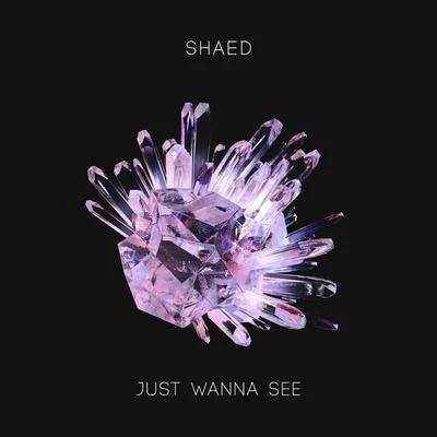 Just Wanna See 專輯 Shaed/Patrick Metzker/Lil Kleine/VIZE/Jonas Brothers