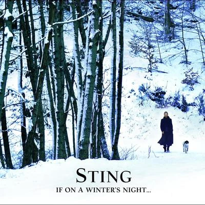 If On A Winters Night 專輯 Sting