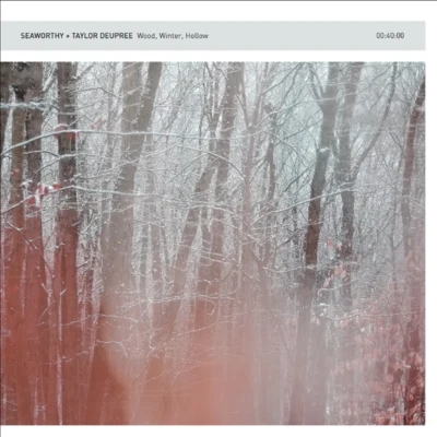 Wood, Winter, Hollow 專輯 Taylor Deupree