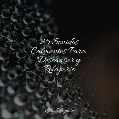 25 Sonidos Calmantes Para Descansar y Relajarse 專輯 Gentle Nature Sounds/Sons da Natureza Relax/Nature Sound Collection