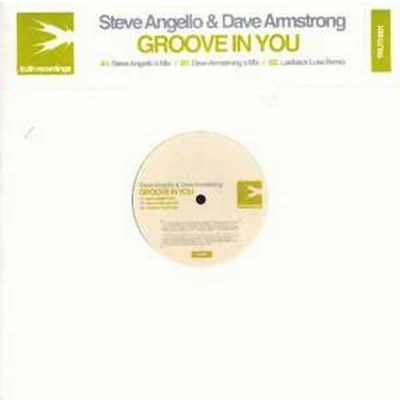 Groove In You 專輯 Steve Angello