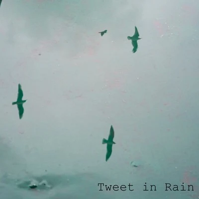 Tweet in Rain 专辑 Calm Shores/meditacou musica ambiente/Nature & Sounds Backgrounds