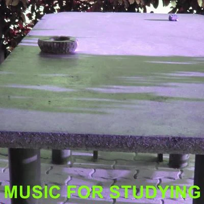 Music For Studying 专辑 Robert Williams