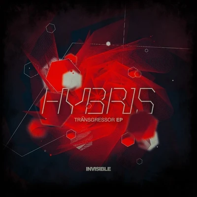 Transgressor EP 专辑 Balatron/Hybris/Shield (DK)/Corrupted/Høst