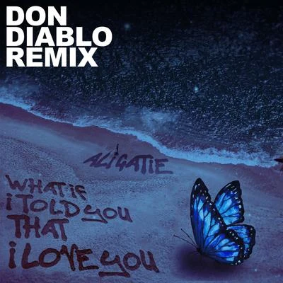 What If I Told You That I Love You (Don Diablo Remix) 專輯 Don Diablo