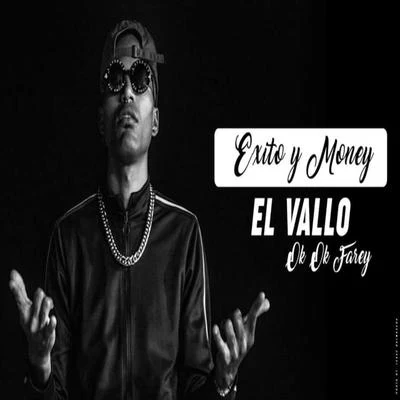 Exito Y Money 專輯 Dj Gomeko/El Vallo