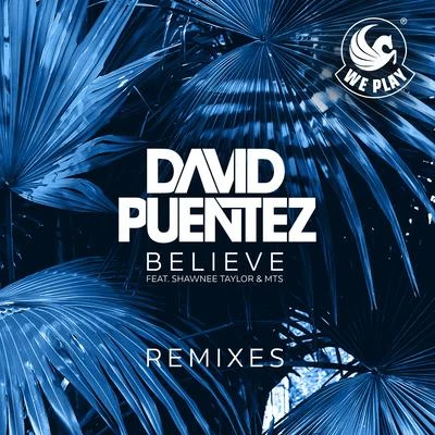 Believe (Remixes) 專輯 David Puentez