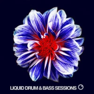 Liquid Drum Bass Sessions 2019 Vol 6 專輯 Untrue