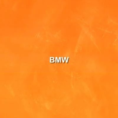 BMW 專輯 李讓同學