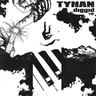 Diggid VIP 專輯 TYnan/Hairitage