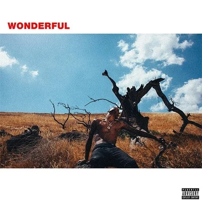 Wonderful 專輯 Travis Scott