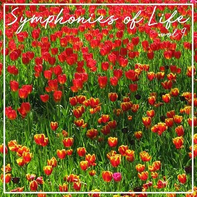 Symphonies Of Life, Vol. 9 - Vivaldi: Concerti 专辑 Concerto Koln