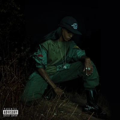 Back to the Woods 专辑 Angel Haze