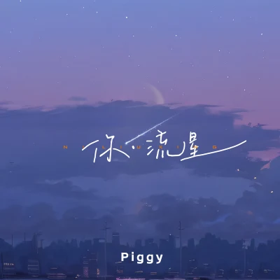 你·流星 專輯 Piggy