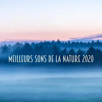 Zone de Détente Meilleurs Sons de la Nature 2020