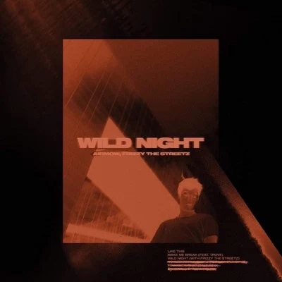 Wild Night 专辑 Frizzy The Streetz/Simbai