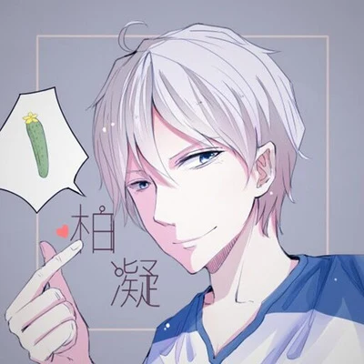 【柏凝】原创集 专辑 柏凝