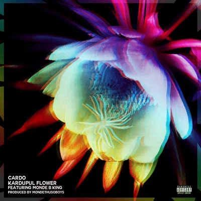 Kadupul Flower 專輯 Cardo/Ed Accura