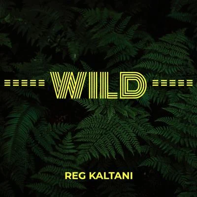 Wild 专辑 Reg Kaltani