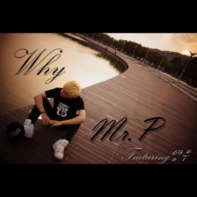 Why 專輯 DJ Switch/Mr. P