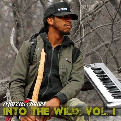 Sounds of Solitude: Into the Wild, Vol. 1 专辑 Danni Carra/Marcus James