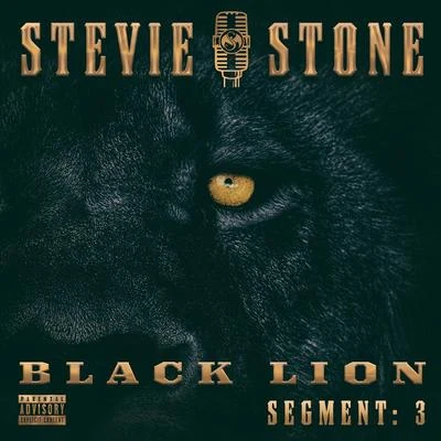 Stevie Stone Black Lion Segment: 3