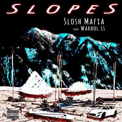 Slopes (feat. Warhol.SS) 专辑 Slosh Mafia/$teven Cannon