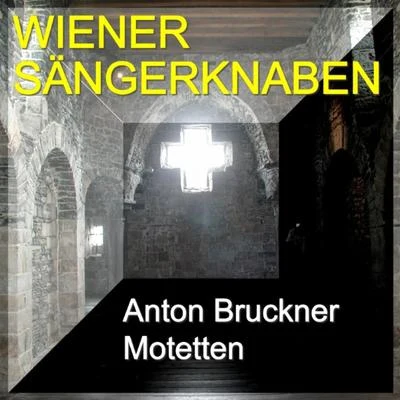 Chorus ViennensisGuido Mancusi Anton Bruckner Motetten