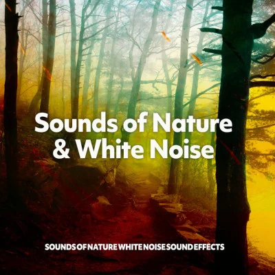 Sounds of Nature White Noise Sound EffectsTranquility Spa UniverseAmbient Music Therapy Sounds of Nature & White Noise