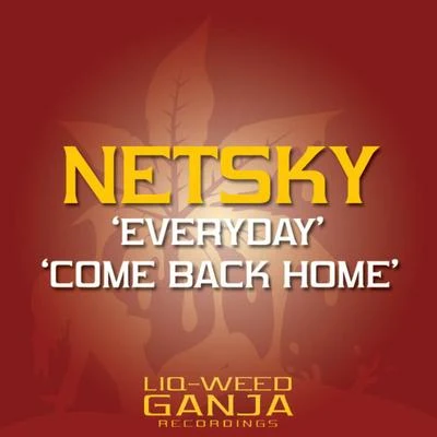 EverydayCome Back Home 專輯 Netsky