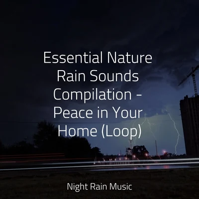 Essential Nature Rain Sounds Compilation - Peace in Your Home (Loop) 專輯 A Sudden Rainstorm/Bedtime Baby/Lluvia