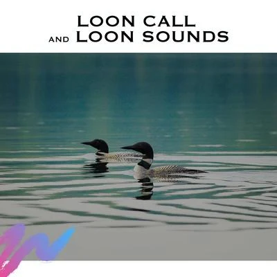 Loon Call and Loon Sounds 专辑 Nature Sounds/Thunderstorm Sleep/Thunderstorms