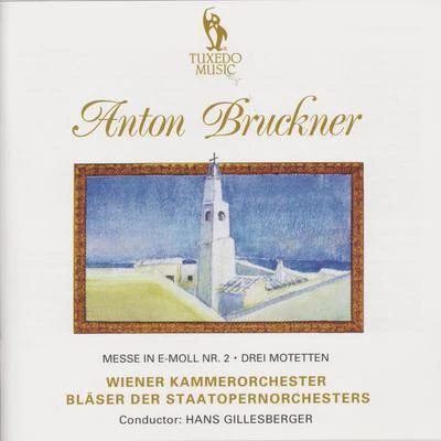 Bruckner: Mass in E Minor, No. 2 & Three Mottets 專輯 Anton Bruckner