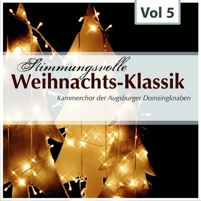 Stimmungsvolle weihnachts-klassik, vol. 5 專輯 Augsburger Domsingknaben/Reinhard Kammler