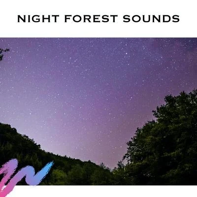 Night Forest Sounds 专辑 Calming Rainforest Sounds