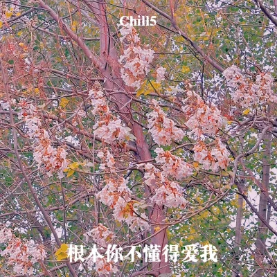 根本你不懂得爱我 专辑 Easy7/Chill5