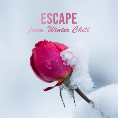 Escape from Winter Chill 專輯 Sunny Music Zone