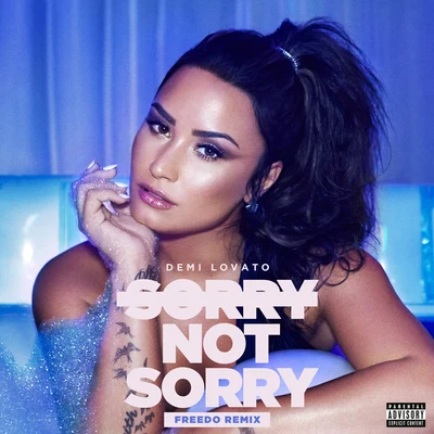 Sorry Not Sorry (Freedo Remix) 專輯 Demi Lovato/Sam Fischer