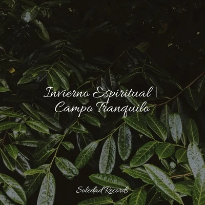 Invierno Espiritual | Campo Tranquilo 專輯 Musica Para Dormir Bebes/Ambiente/Lluvia PQ