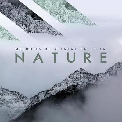 Mélodies de Relaxation de la Nature: White Noise 2020 專輯 Nature Sounds Artists