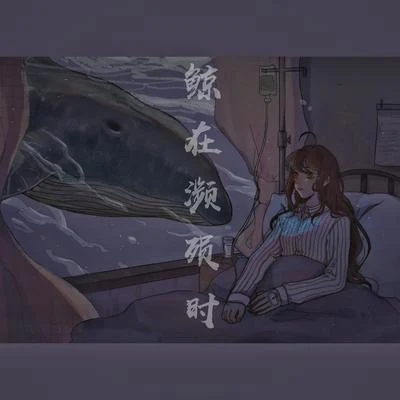 鲸在濒殒时 专辑 少年霜