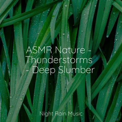 ASMR Nature - Thunderstorms - Deep Slumber 专辑 Rain Sounds Rain