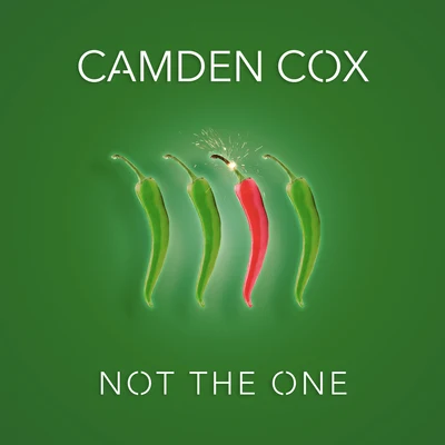 Not the One 專輯 Camden Cox/Embody