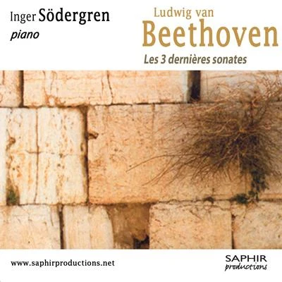 Les 3 dernières sonates 专辑 Inger Sodergren