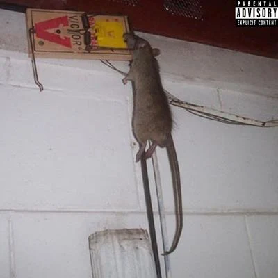 Rocko Rat On The Wall